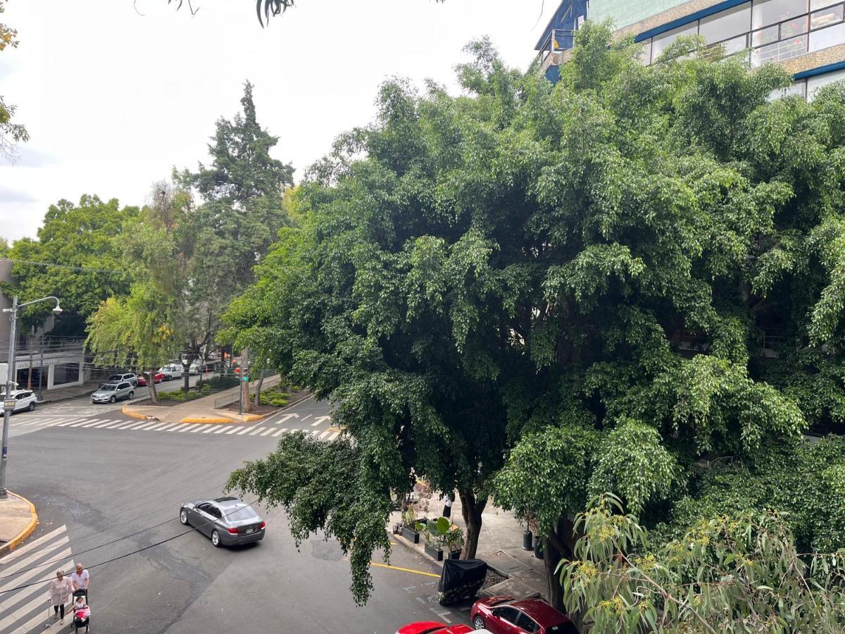 Tu Lugarcito En La Condesa. * Città del Messico